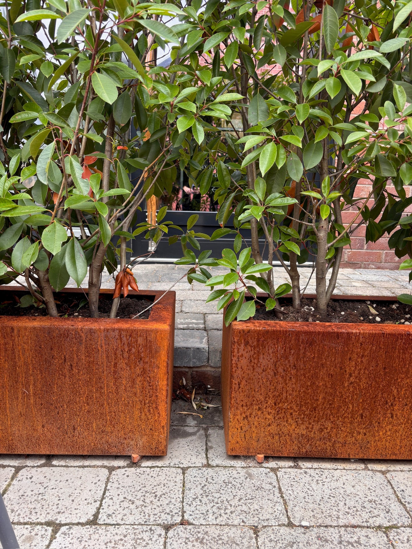 Corten Steel Trough Planters