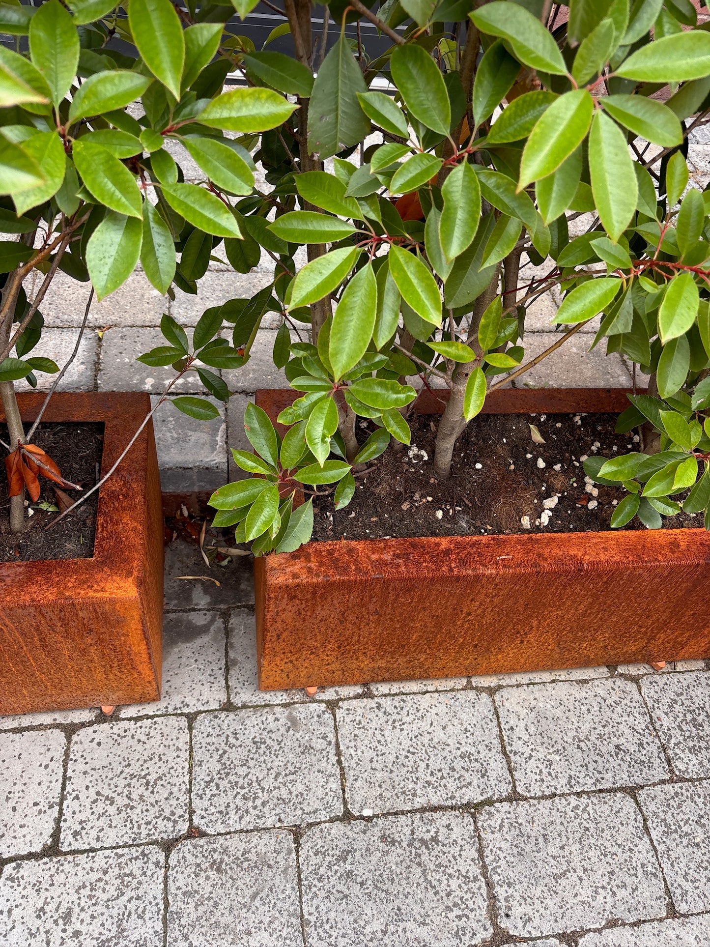 Corten Steel Trough Planters